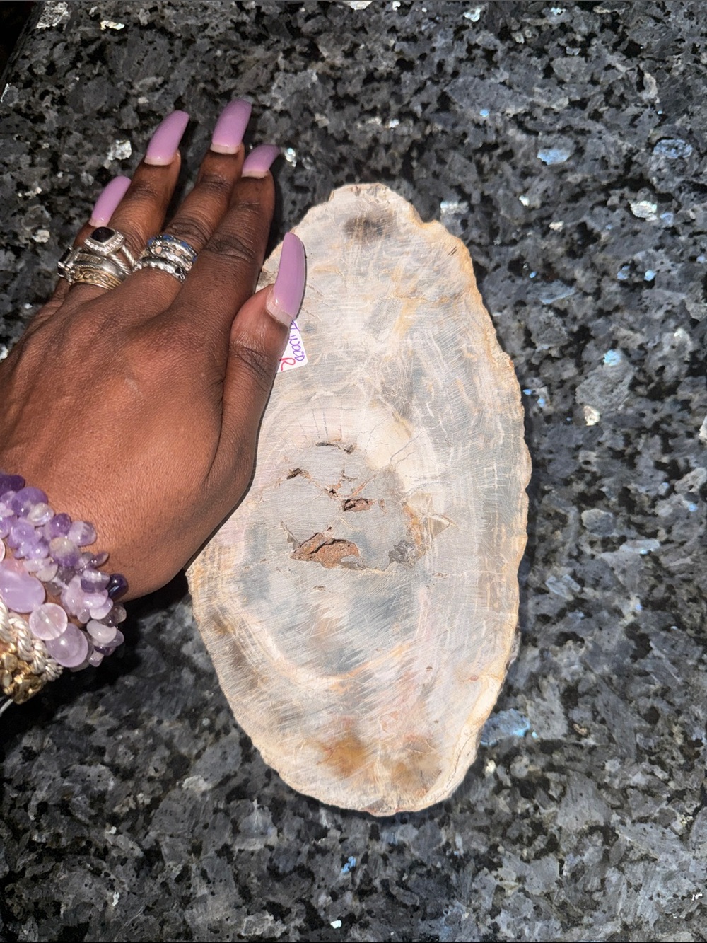 Petrified Wood Custom Bowl A 4.75 x 8.25 4+ LBS - Picture 5 of 12